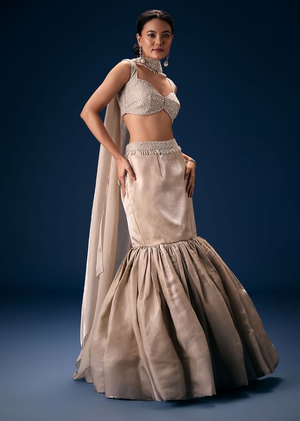 Off White Blouse With Fishcut Lehenga And Choker Dupatta