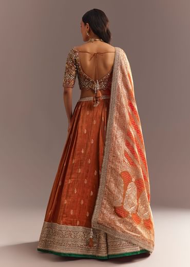 Orange Tissue Butti Embroidered Lehenga Choli And Woven Dupatta