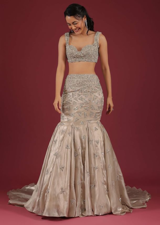 Organza Oyster Mermaid Lehenga With A Stone Motif Veil And Crop Top