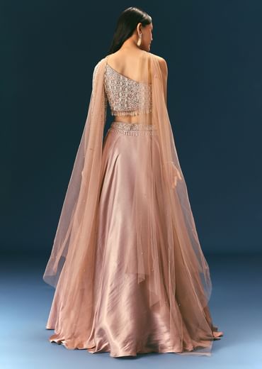 Oyster Organza Embroidered Lehenga Set With Dupatta