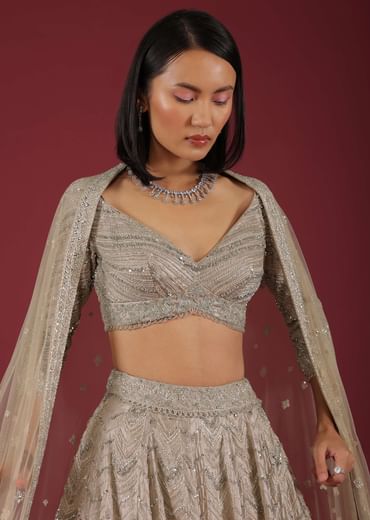 Oyster Organza Lehenga With Cut Dana Embroidery, Crop Top Comes In 3/4Th Sleeves With A Deep V Neckline