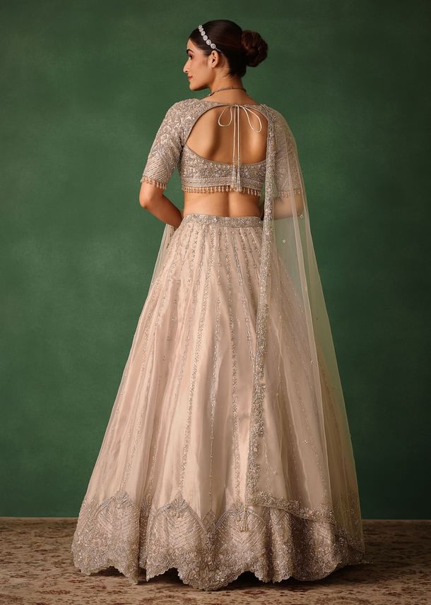Oyster Pink Hand Embroidered Organza Lehenga Set