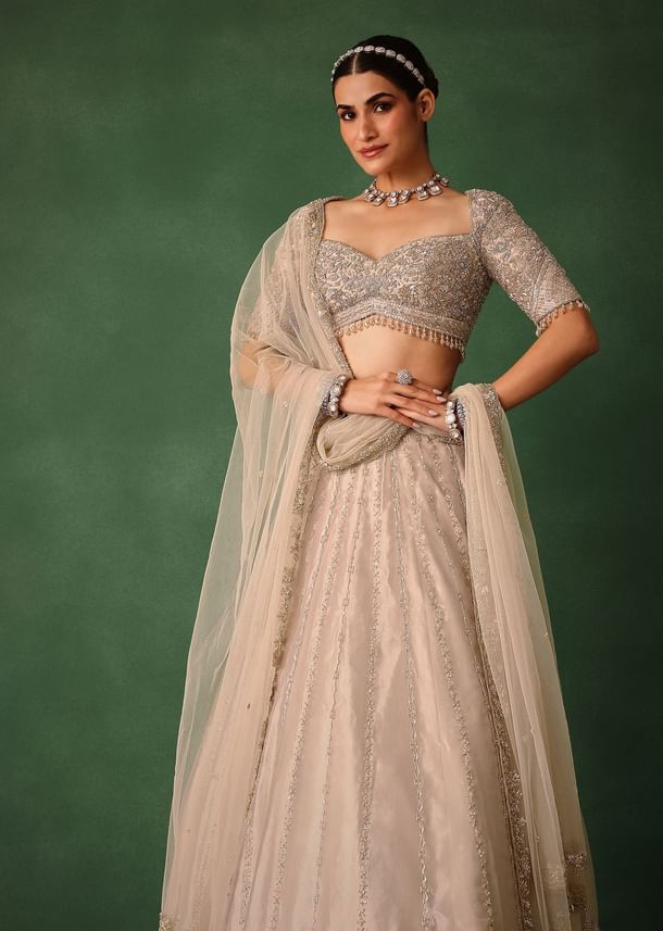 Oyster Pink Hand Embroidered Organza Lehenga Set