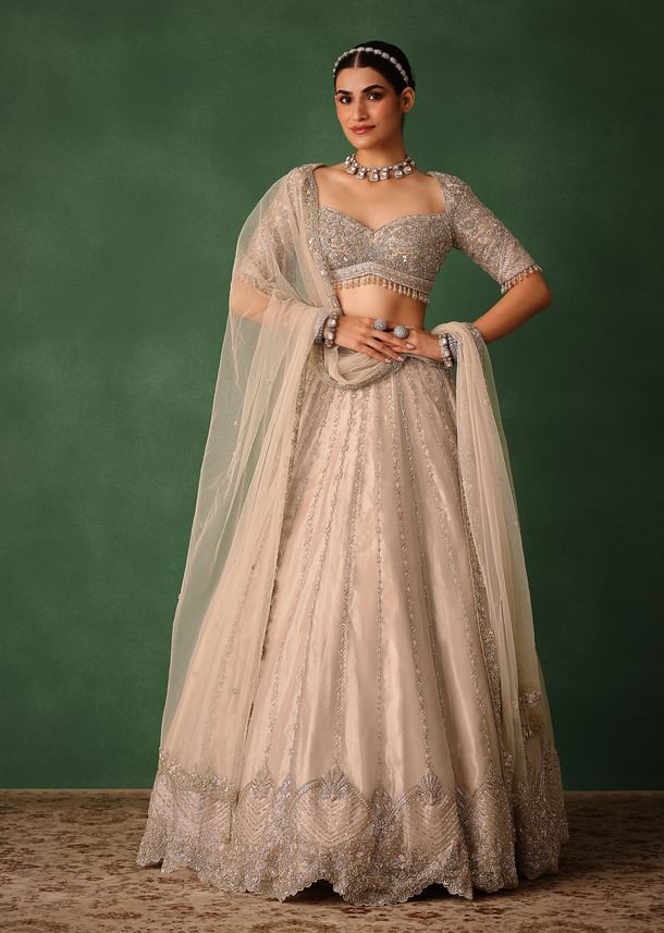 Oyster Pink Hand Embroidered Organza Lehenga Set
