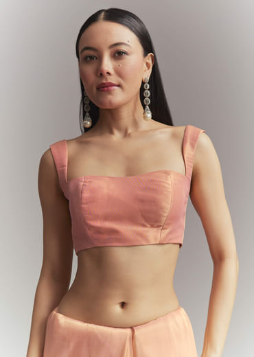 Peach Tissue Embroidered Saree With Heavy Hand Embroidery