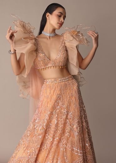 Peach Zardosi Lehenga With Dramatic Net Sleeves Blouse