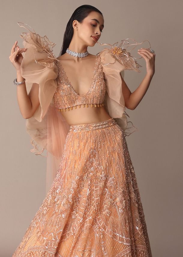 Peach Zardosi Lehenga With Dramatic Net Sleeves Blouse
