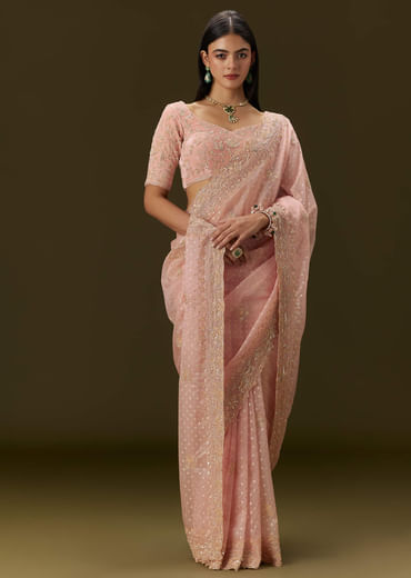 Pink Banarasi Tissue Saree With Velvet Embroidered Blouse