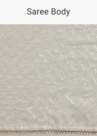 White Green Glass Tissue Sequin Embroidered Saree With Contrast Blouse