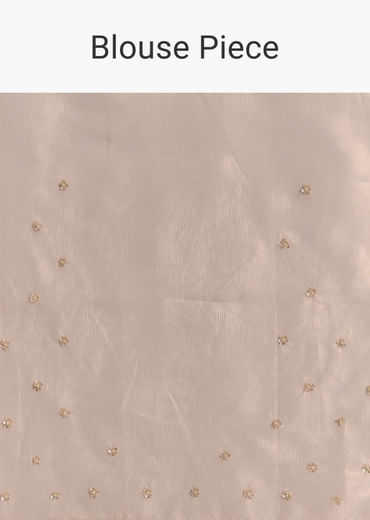 Pink Tissue Embroidered Saree With Sequins And Bead Work
