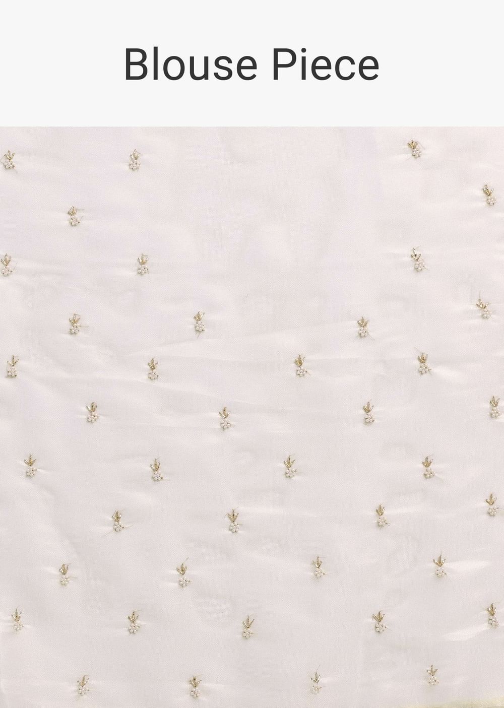 Powder Green Foil Saree In Tissue With Embroidered Borders