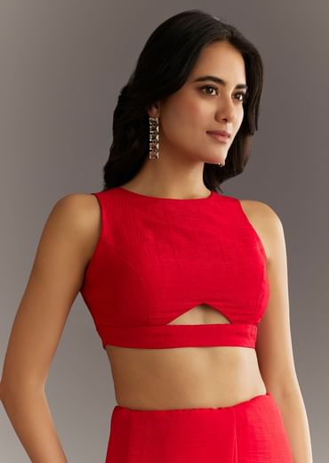 Red Crushed Tissue Embroidered Saree With Scallop Border