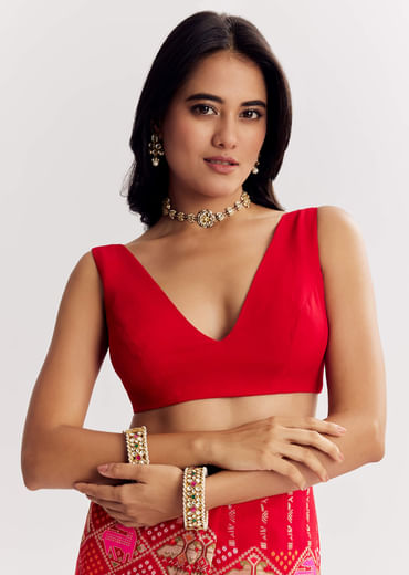 Red Dola Silk Bandhani Saree With Multicolor Animal Motifs And Gota Border