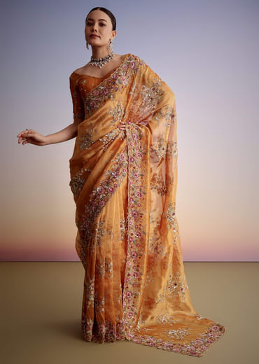 Rust Orange Tissue Cutdana Embroidered Saree