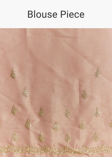 Rust Orange Tissue Saree With Zardosi Beads And Sequins Embroidery