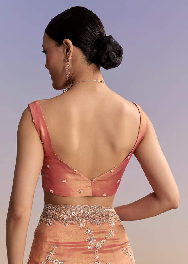 Rust Tissue Embroidered Saree With Cutdana And Stone Work