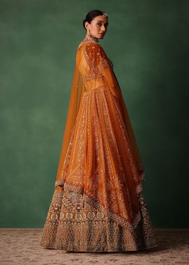 Rust Embroidered Bridal Lehenga With Deep Neckline Blouse And Dupatta