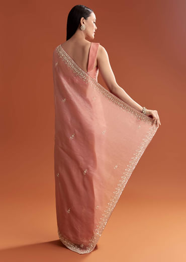 Rust Tissue Saree With Butti And Border Embroidery