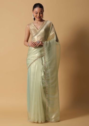 Sea Green Foil Saree In Tissue With Cut Dana Embroidered Borders