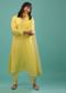 Lime Yellow Bemberg Silk A Line Suit In Organza