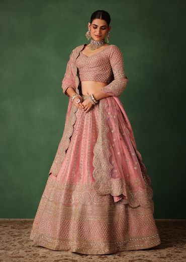 Light Pink Raw Silk Hand Embroidered Lehenga Set