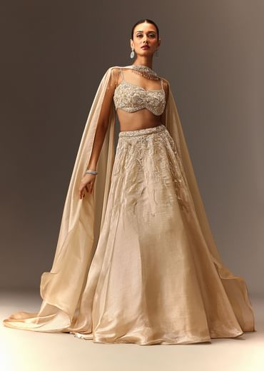 Beige Hand Embroidered Blouse With Skirt And Choker Dupatta