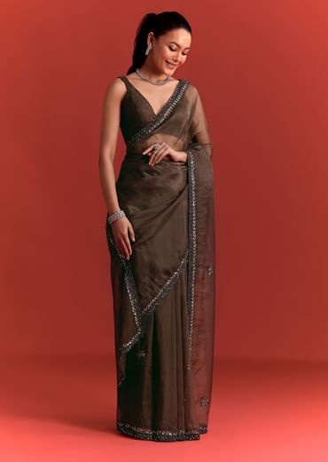 Brown Tissue Saree With Cutdana And Sequin Work