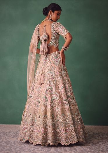 Baby Pink Jaal Work Lehenga With Sweetheart Neck Blouse And Embroidered Dupatta