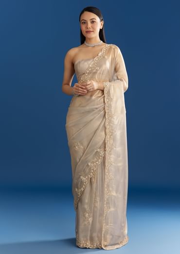 Silver Organza Tissue Saree With Sparkling Border