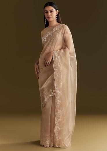 Beige Glass Tissue Embroidered Saree With Scallop Border