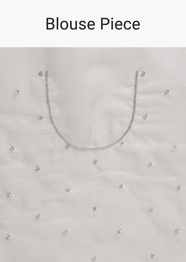 Silver Tissue Saree with Cutdana  Sequin Embroidery