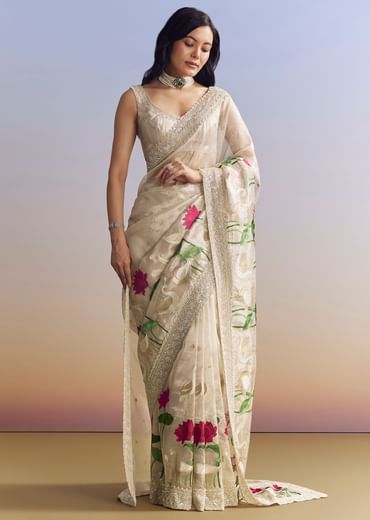 Silver Tissue Saree With Intricate Resham Work And Embroidered Border