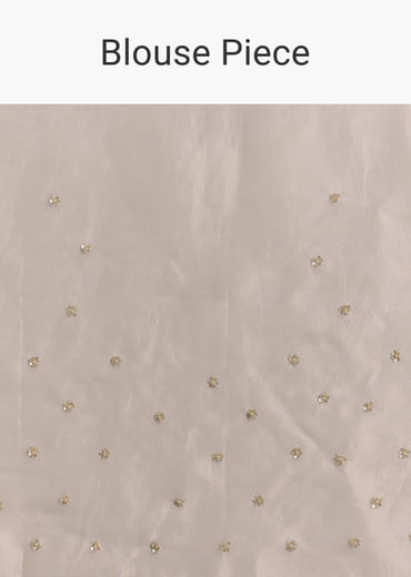 Silver Tissue Saree With Scallop Border And Sequins Work