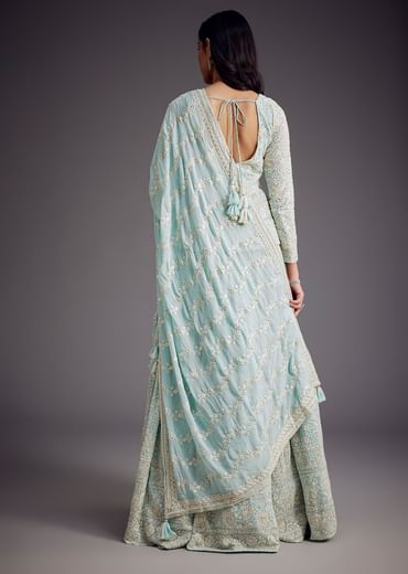 Sky Blue Lucknowi Work Lehenga Set