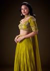 Sunshine Green Pleated Skirt With Hand Embroidered Belt And Choker Blouse