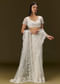 White Net Saree With All Over Embroidery